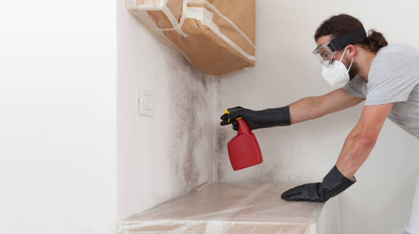 Professional Mold Remediation technician working in Hempstead, NY